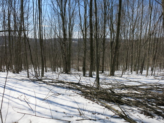 Image for Bankruptcy Auction - By Order of the Court