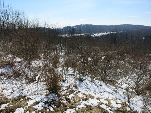 Image for Bankruptcy Auction - By Order of the Court