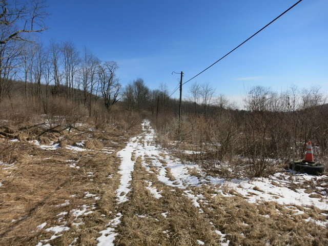 Image for Bankruptcy Auction - By Order of the Court