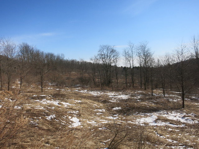 Image for Bankruptcy Auction - By Order of the Court