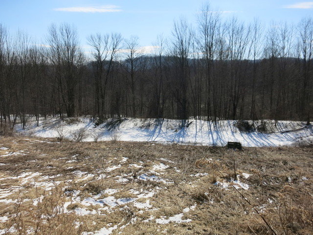 Image for Bankruptcy Auction - By Order of the Court