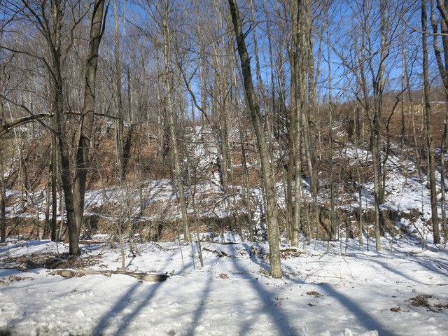 Image for Bankruptcy Auction - By Order of the Court