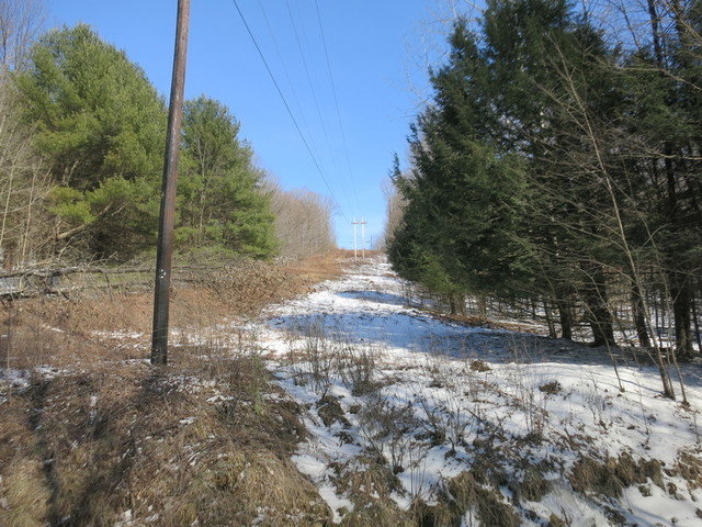 Image for Bankruptcy Auction - By Order of the Court