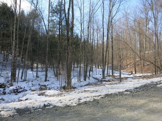 Image for Bankruptcy Auction - By Order of the Court