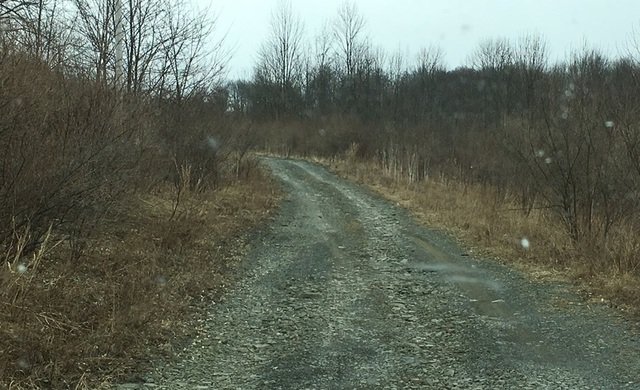 Image for Bankruptcy Auction - By Order of the Court