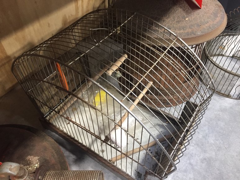 Image for Furniture, Collectibles, Household-New Building North