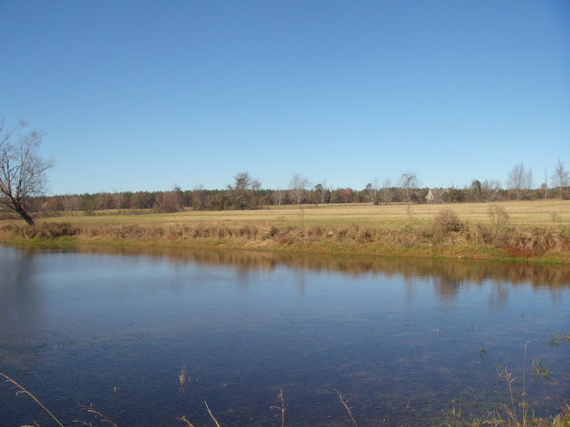 Image for LIVE AUCTION - January 25, 2020