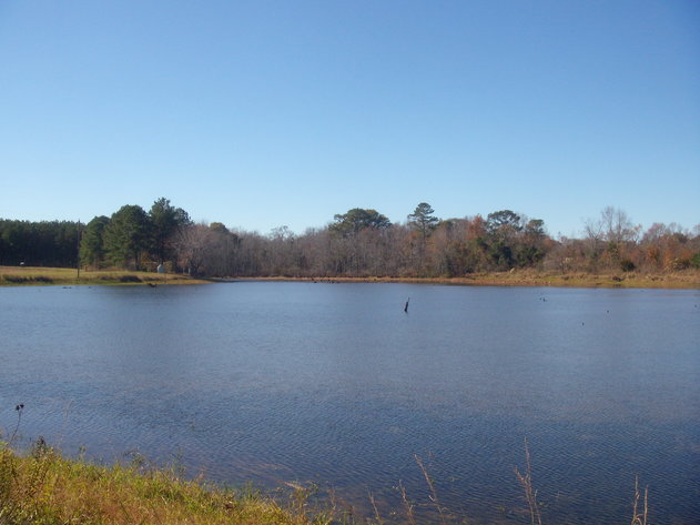 Image for LIVE AUCTION - January 25, 2020