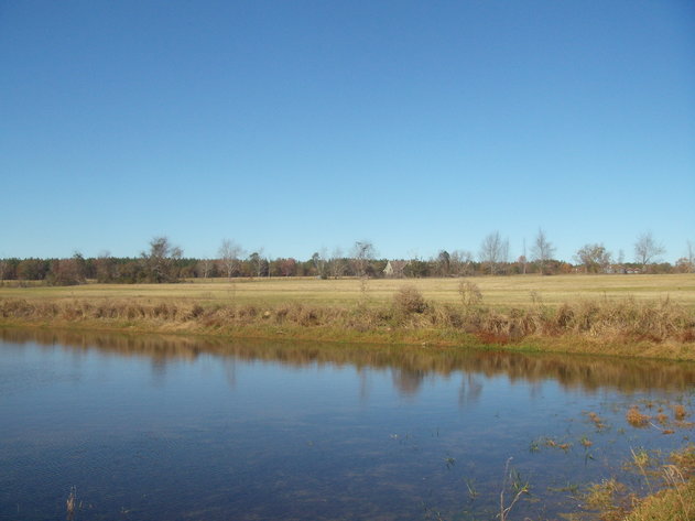 Image for LIVE AUCTION - January 25, 2020