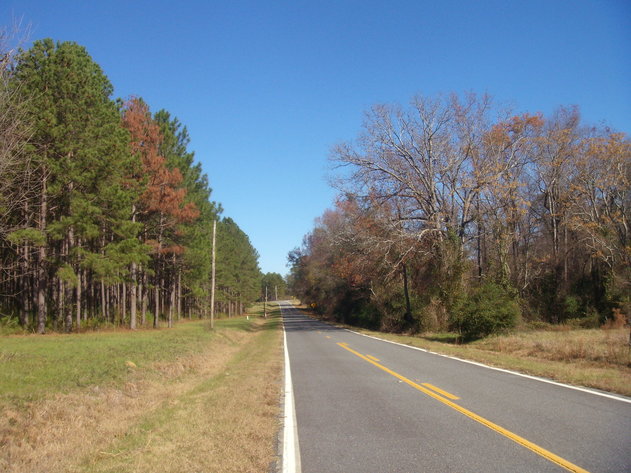 Image for LIVE AUCTION - January 25, 2020