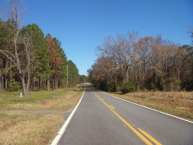 Image for LIVE AUCTION - January 25, 2020