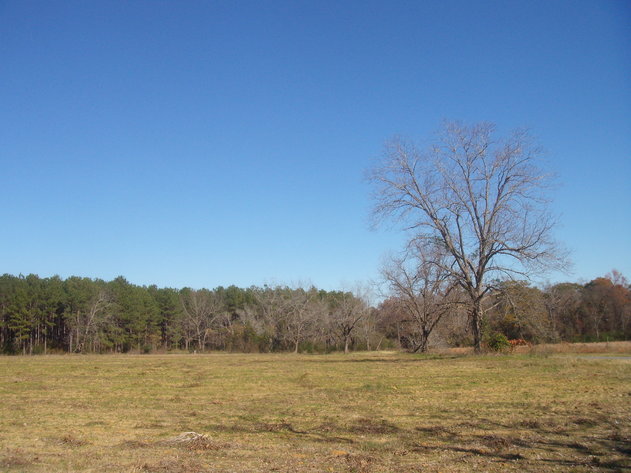 Image for LIVE AUCTION - January 25, 2020