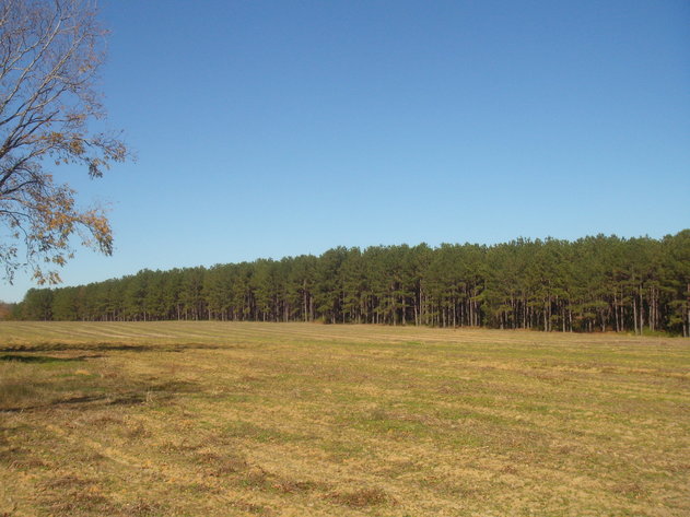 Image for LIVE AUCTION - January 25, 2020