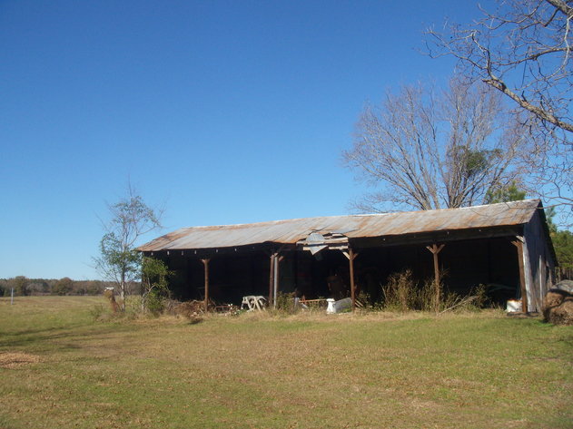 Image for LIVE AUCTION - January 25, 2020