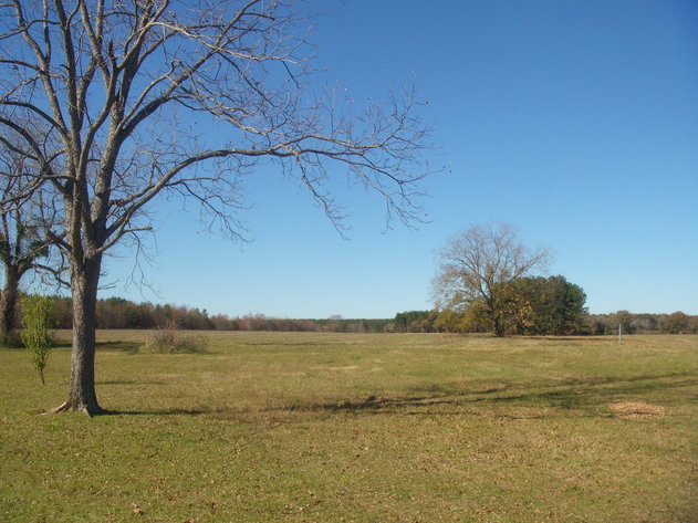 Image for LIVE AUCTION - January 25, 2020