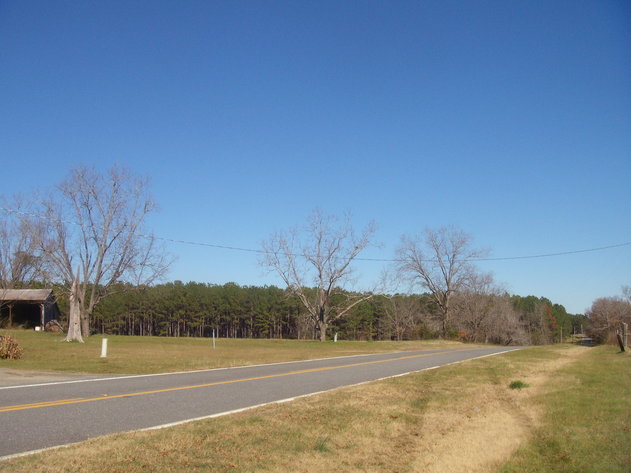 Image for LIVE AUCTION - January 25, 2020