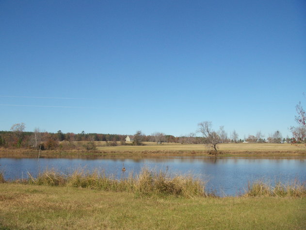 Image for LIVE AUCTION - January 25, 2020