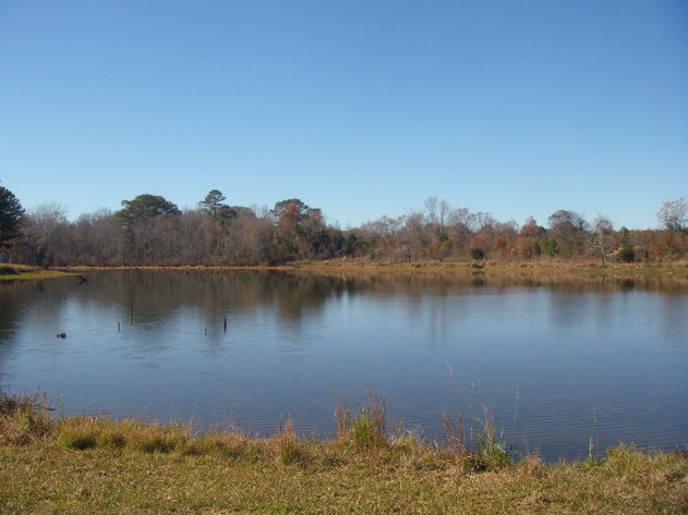 Image for LIVE AUCTION - January 25, 2020