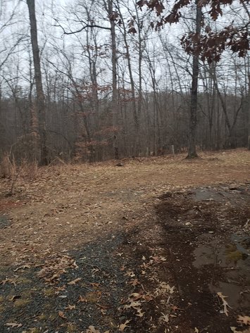 Image for 171 Stallion CT, Amherst