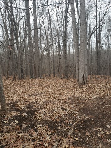 Image for 171 Stallion CT, Amherst