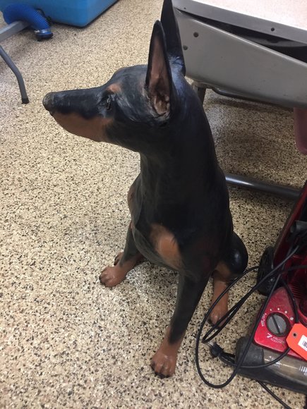 Image for Furniture, Collectibles, Household-Main office back half