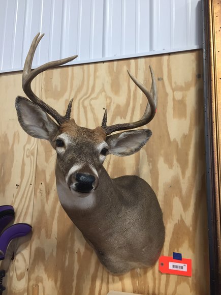 Image for Furniture, Collectibles, Household-East Building North side