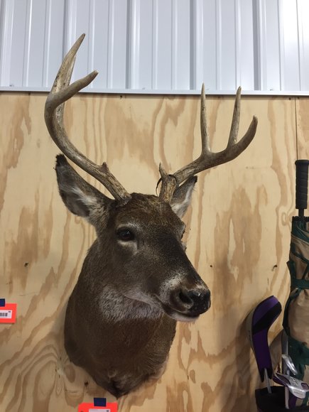 Image for Furniture, Collectibles, Household-East Building North side