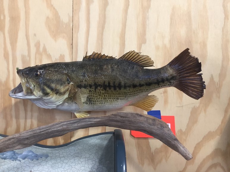 Image for Furniture, Collectibles, Household-East Building North side