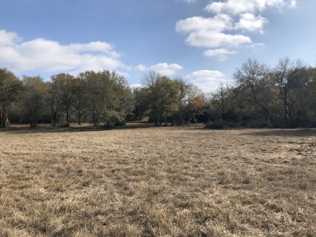 Image for Tract A - 00 Wiesepape Road, Brenham Texas 77833