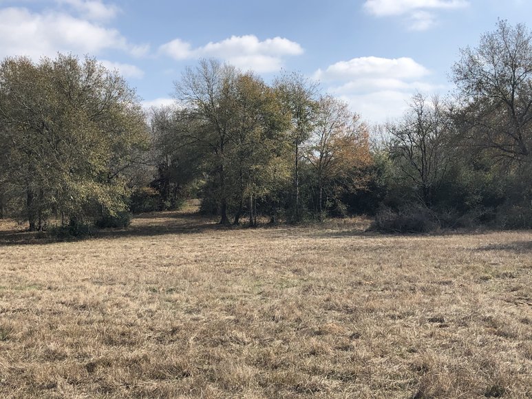 Image for Tract A - 00 Wiesepape Road, Brenham Texas 77833