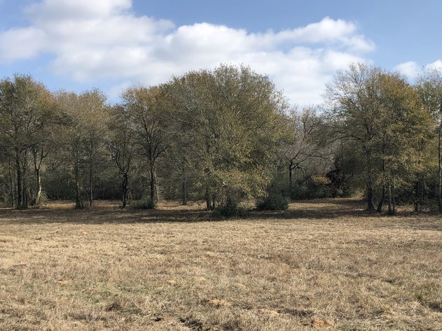 Image for Tract A - 00 Wiesepape Road, Brenham Texas 77833