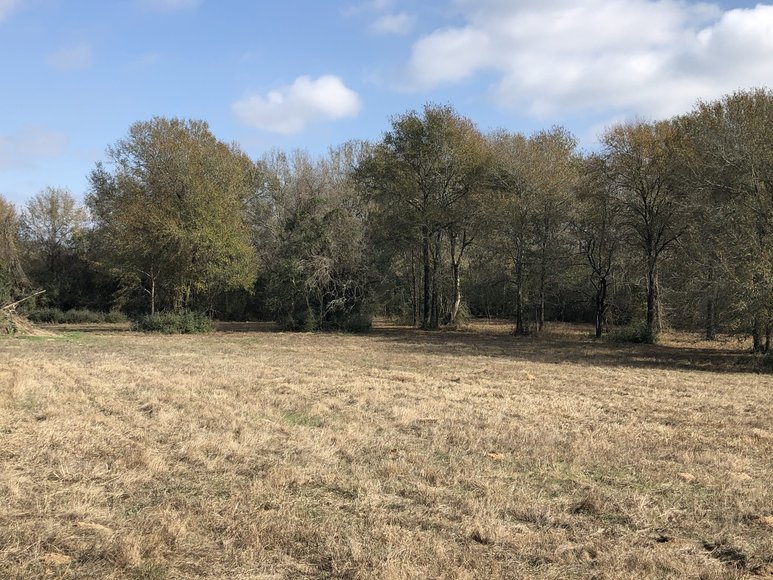 Image for Tract A - 00 Wiesepape Road, Brenham Texas 77833