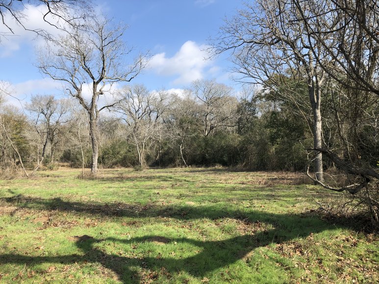 Image for Tract A - 00 Wiesepape Road, Brenham Texas 77833