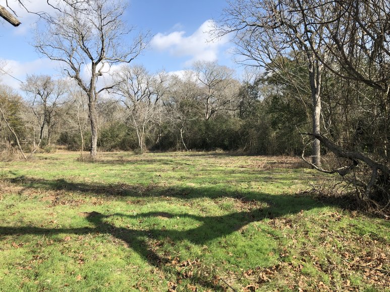 Image for Tract A - 00 Wiesepape Road, Brenham Texas 77833