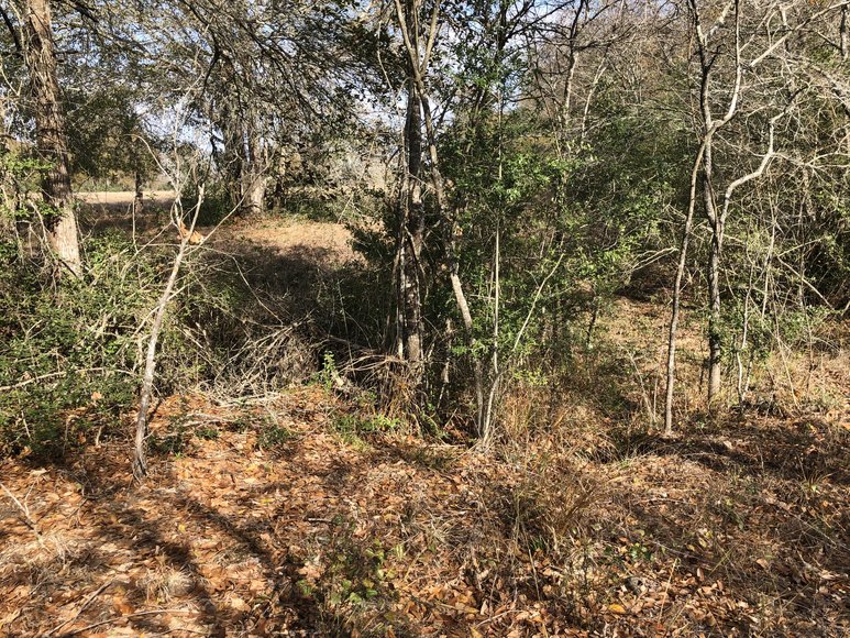 Image for Tract A - 00 Wiesepape Road, Brenham Texas 77833