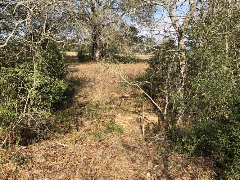 Image for Tract A - 00 Wiesepape Road, Brenham Texas 77833