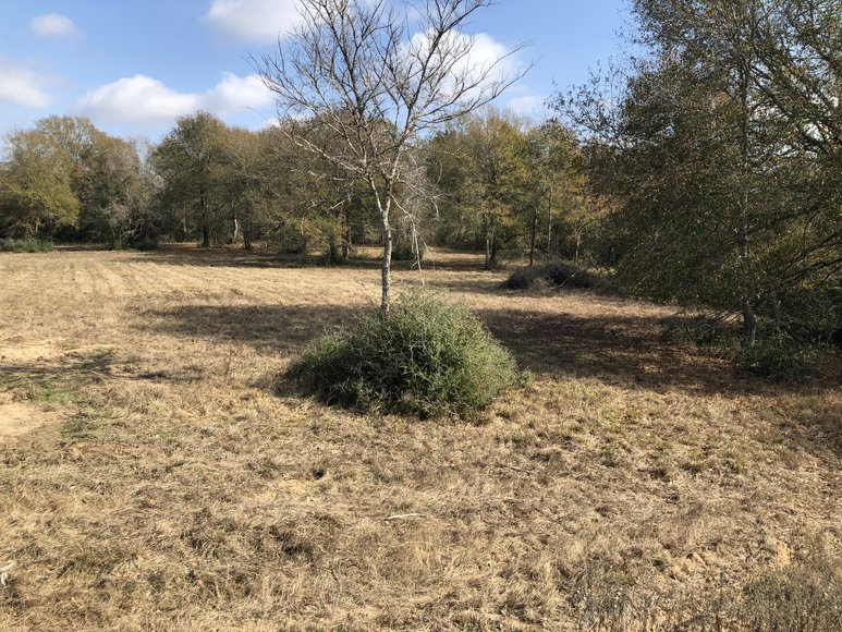 Image for Tract A - 00 Wiesepape Road, Brenham Texas 77833