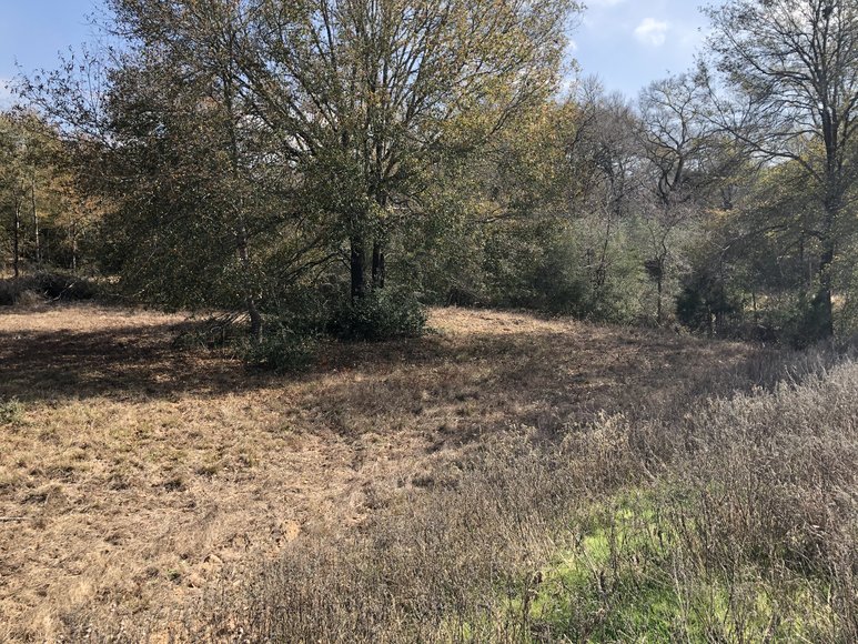 Image for Tract A - 00 Wiesepape Road, Brenham Texas 77833