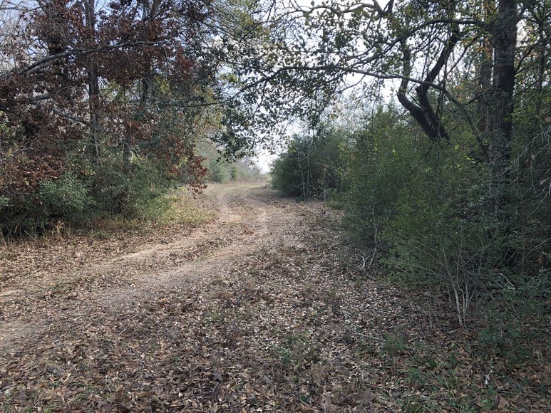 Image for Tract A - 00 Wiesepape Road, Brenham Texas 77833