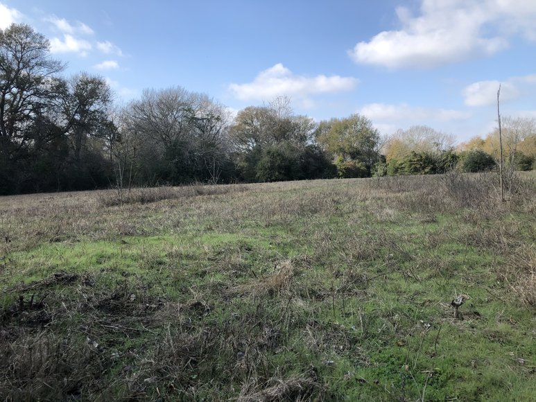 Image for Tract A - 00 Wiesepape Road, Brenham Texas 77833