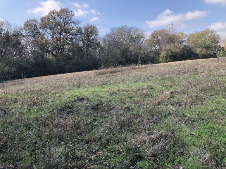 Image for Tract A - 00 Wiesepape Road, Brenham Texas 77833