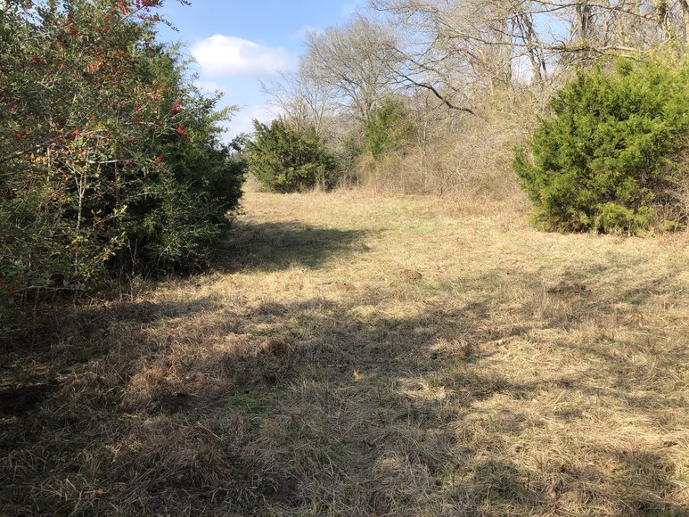 Image for Tract A - 00 Wiesepape Road, Brenham Texas 77833