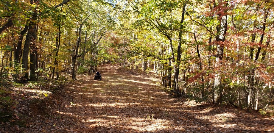 Image for 586 Acres on Turkeycock Mountain