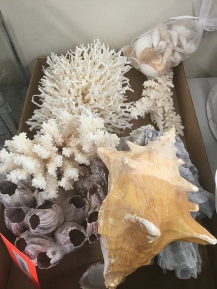 Image for Furniture, Collectibles, Firearms, Household