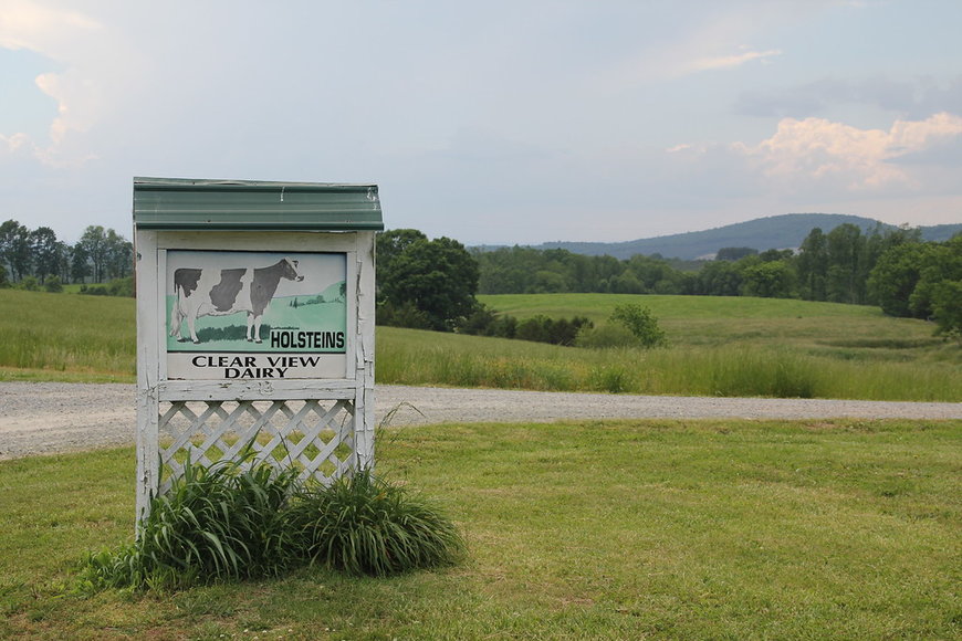 Image for 169 Acre Farm near Smith Mountain Lake