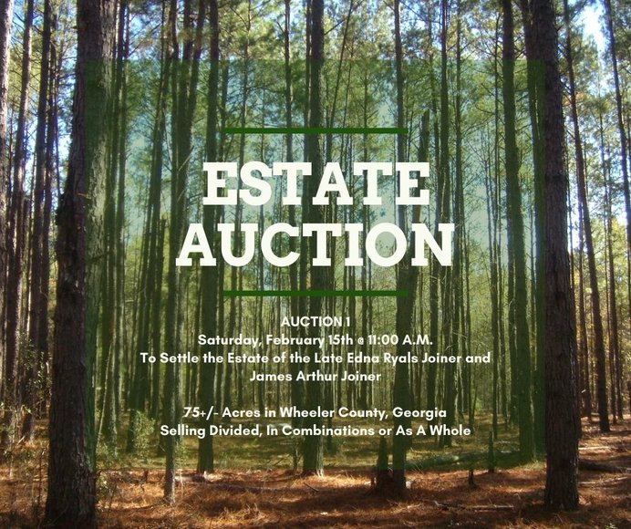 Image for LIVE AUCTION - Saturday, February 15, 2020