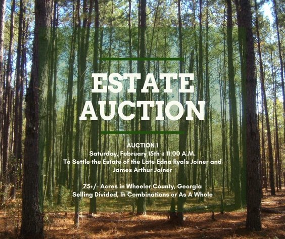 Image for LIVE AUCTION - Saturday, February 15, 2020