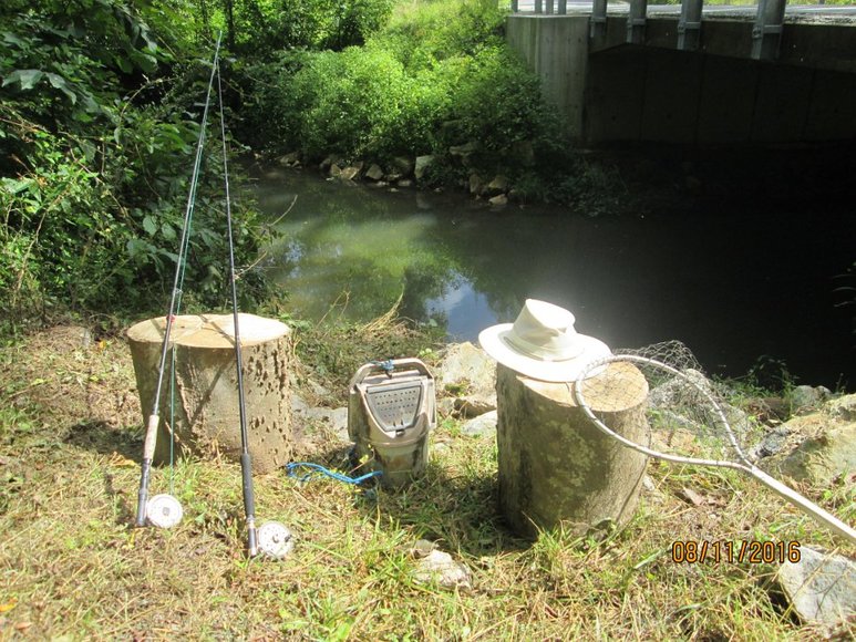 Image for The Gray Ghost - 14 Acres w/ Nice Home on the Appomattox River