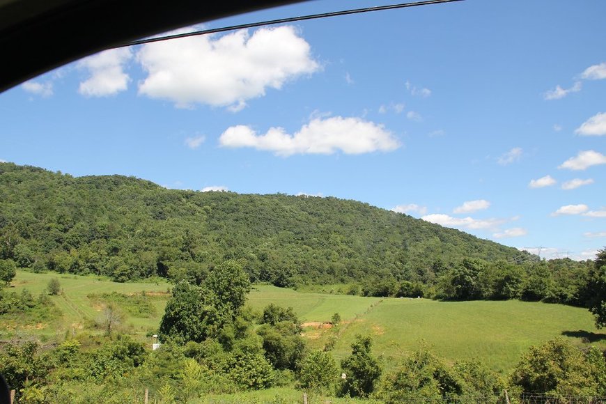 Image for 100 Nicely Wooded Acres