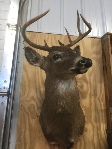 Image for Furniture, Collectibles, Household-East building South Side